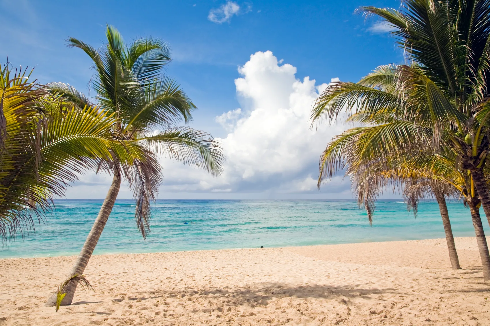 Descubrir Playa Xcacel virgen