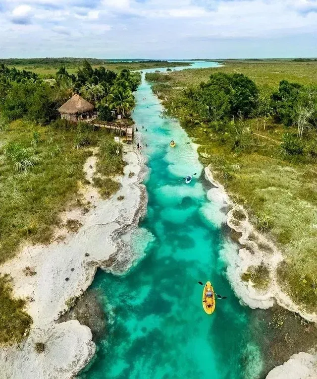 Postes de madera antiguos con nenúfares en la laguna cristalina de Bacalar