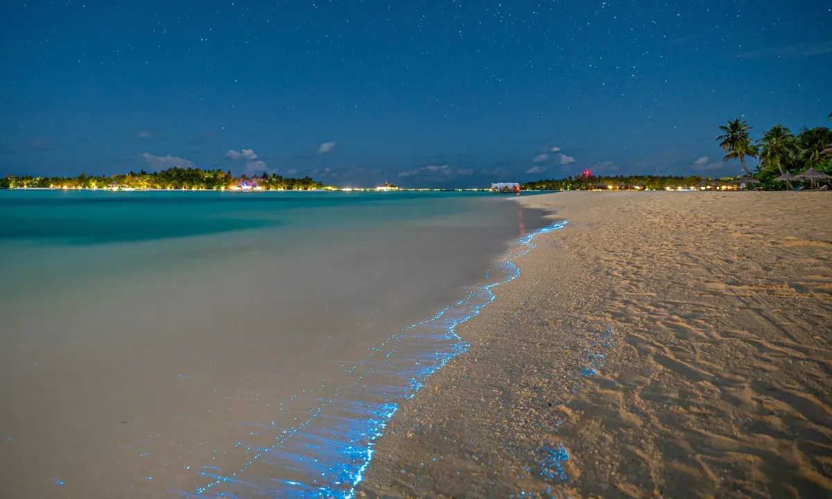 Playa de holbox con una suave bioluminiscencia