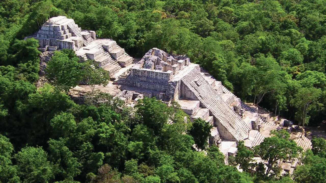 Pirámide de Calakmul emergiendo de la selva, vista aérea