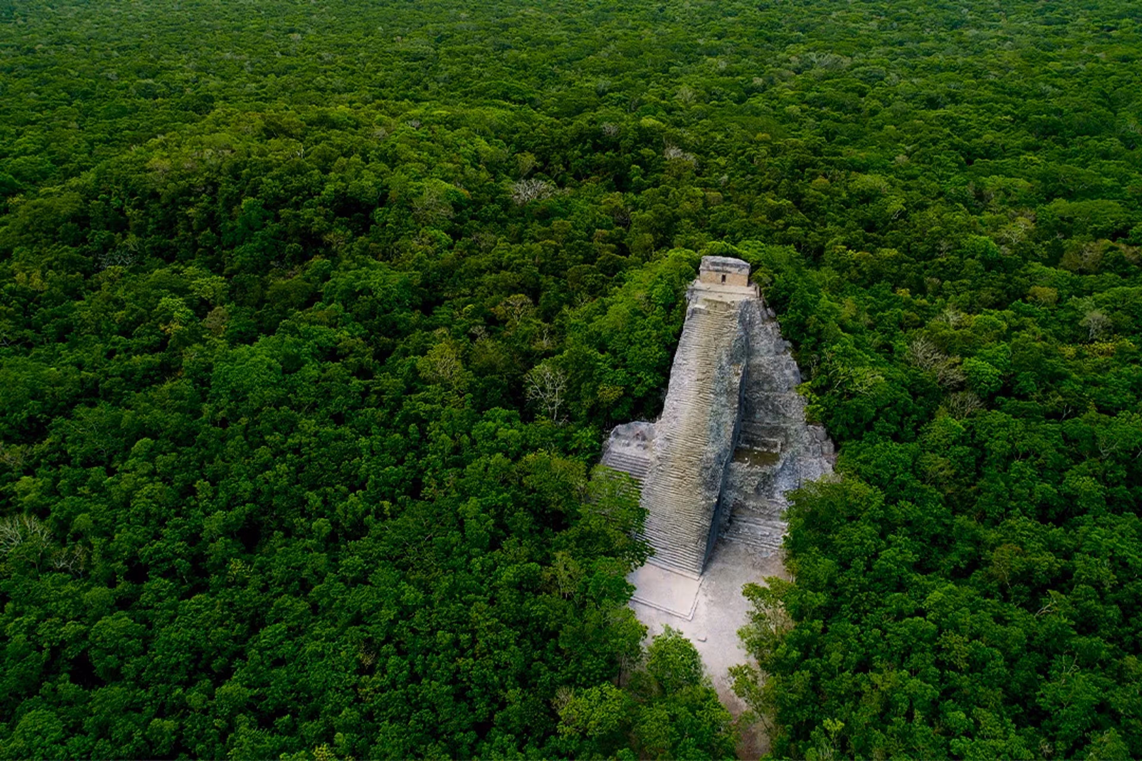 De la Selva a la Costa
