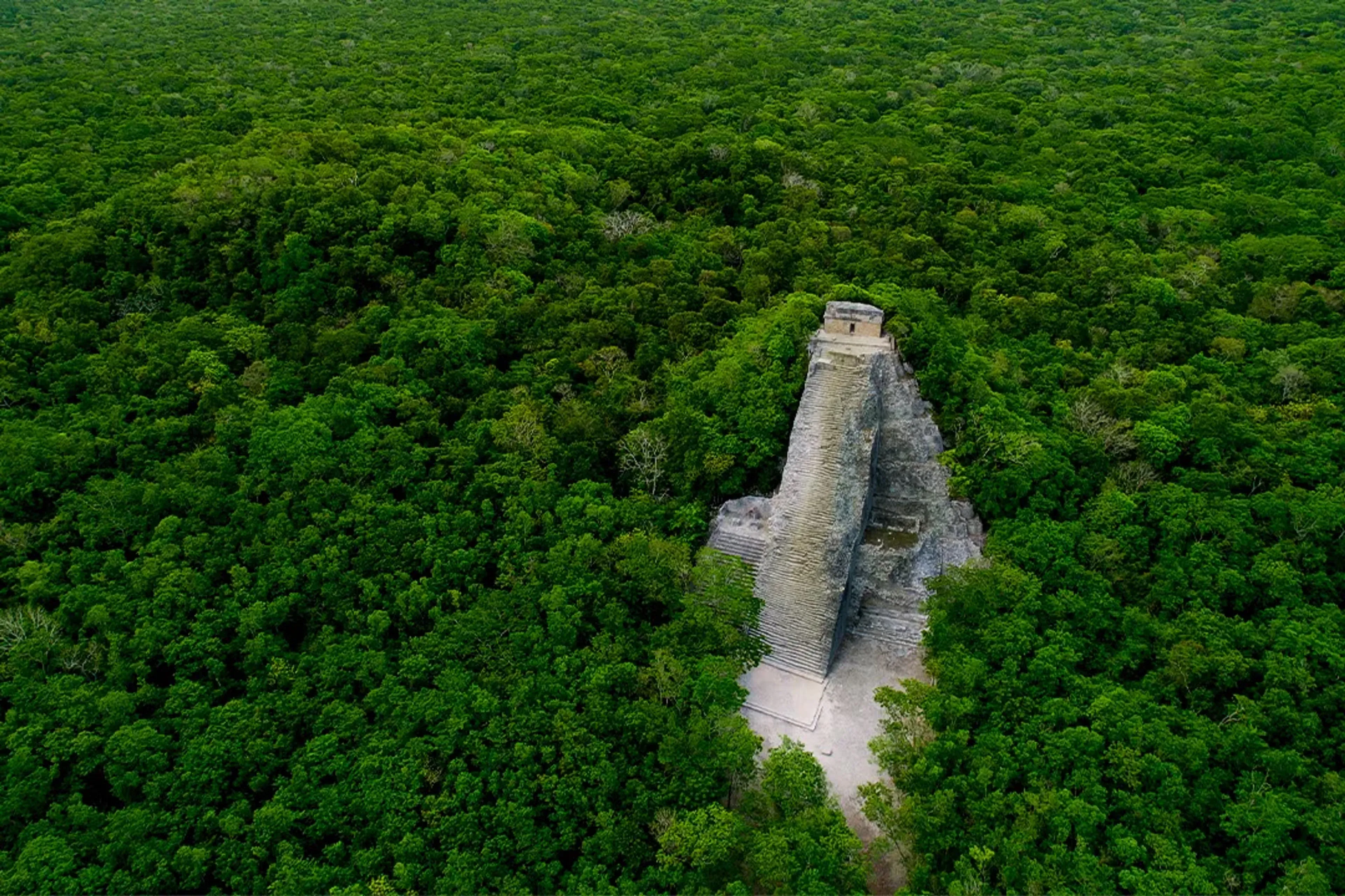 De la Selva a la Costa