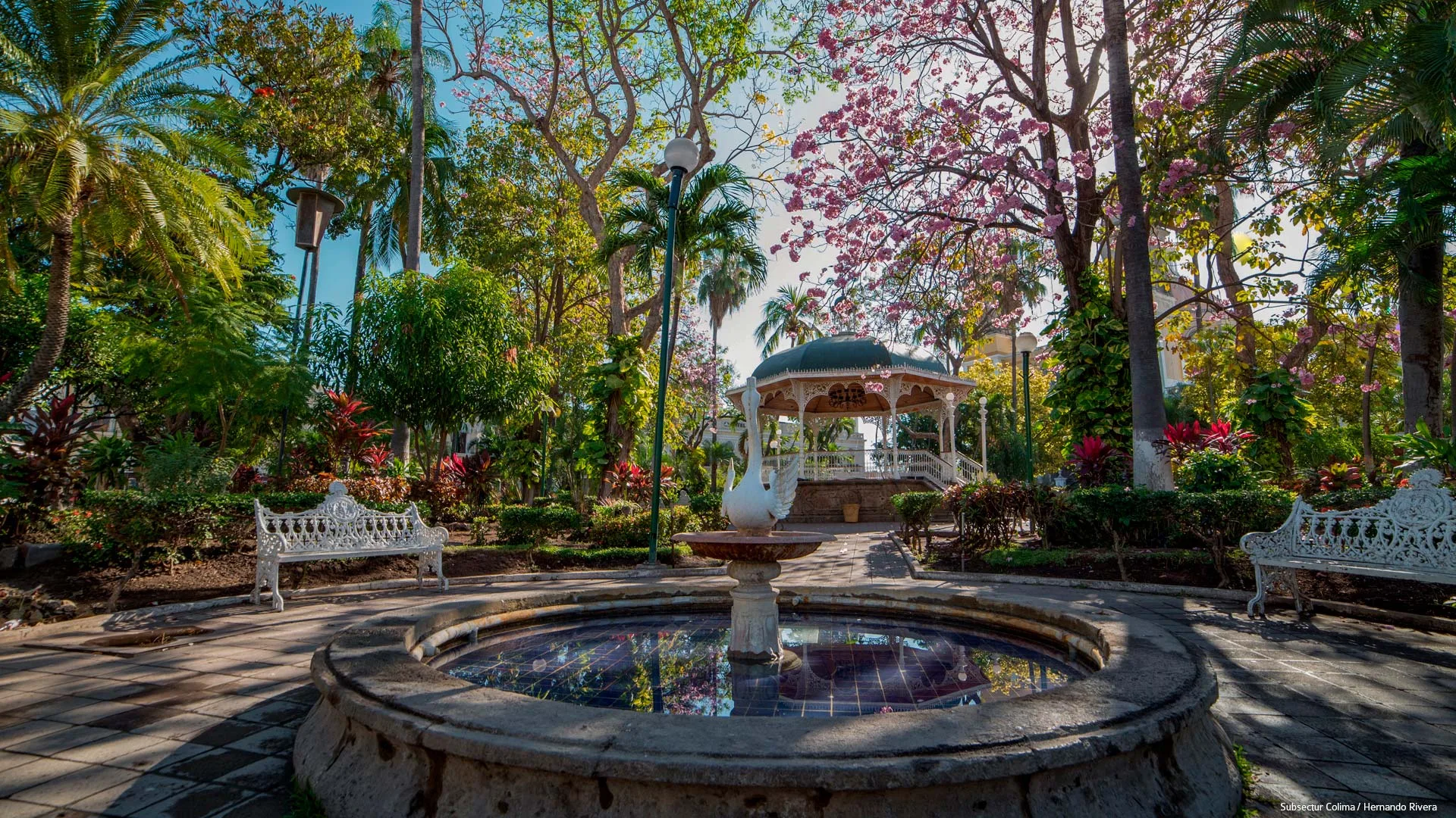 Recorrer el centro histórico y el Jardín Libertad