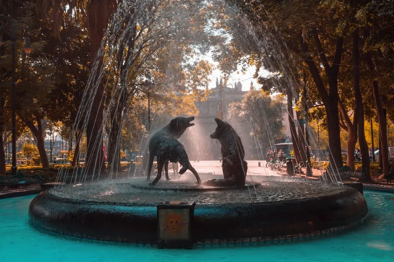 Fuente de los Coyotes en la plaza de Coyoacan rodeada de arboles