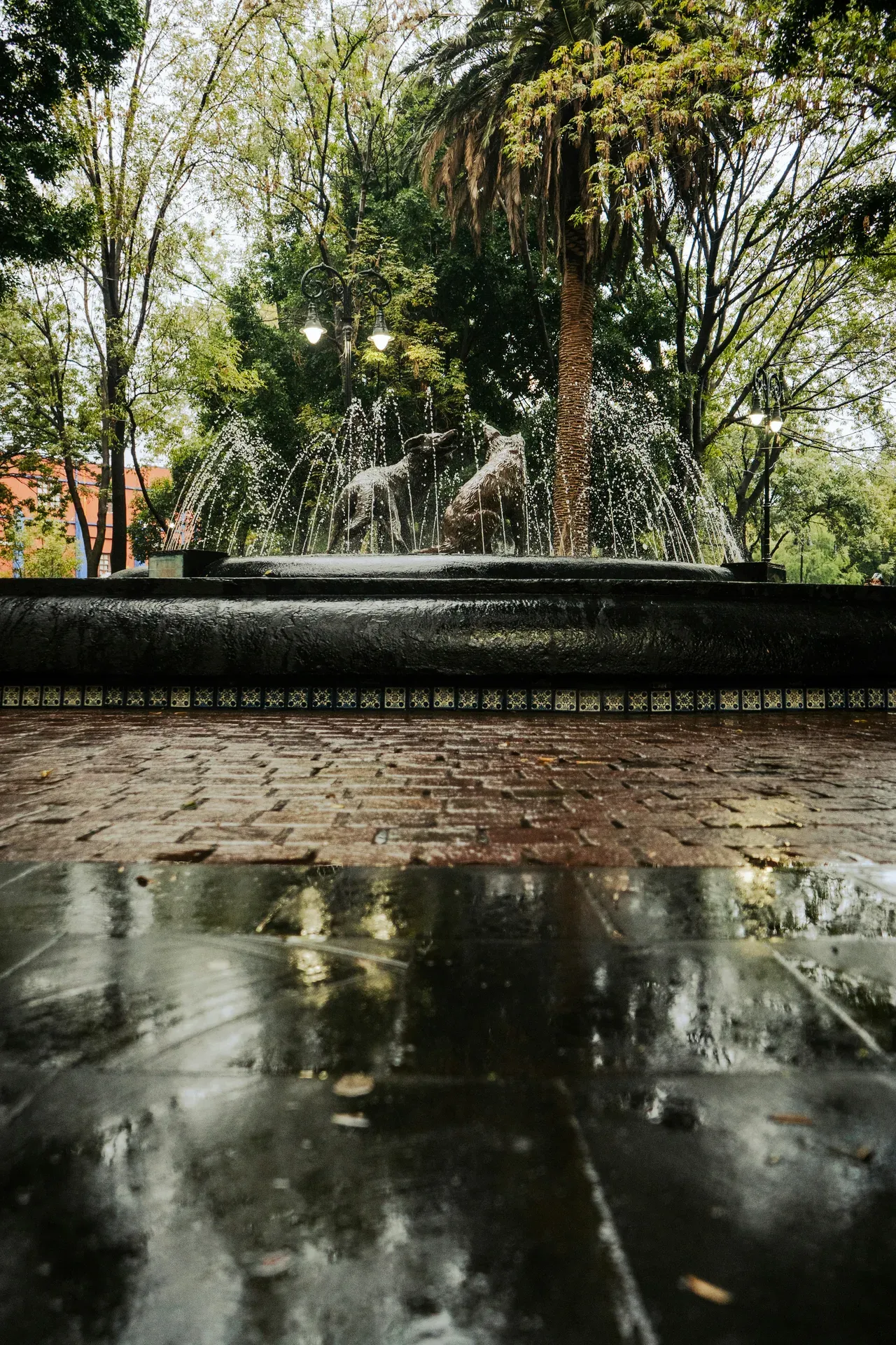 Coyoacán y la Casa Azul
