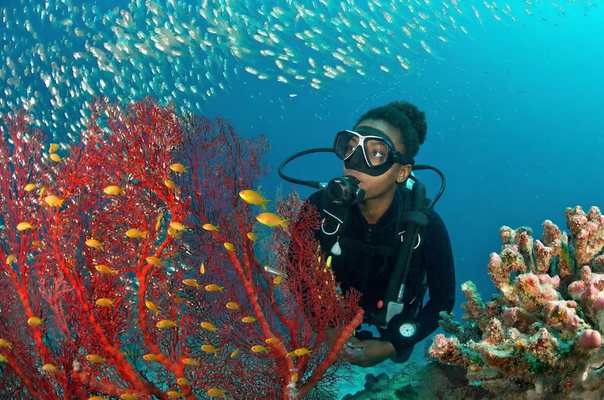 La Meca del Buceo