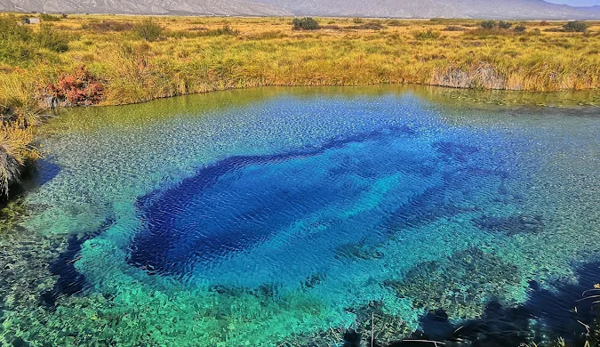 El Galápagos del Desierto