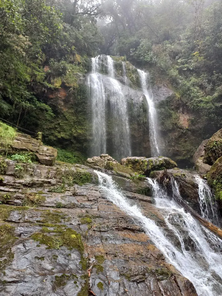 Cascada Corazón del Bosque rodeada de helechos en el bosque de niebla de Cuetzalan