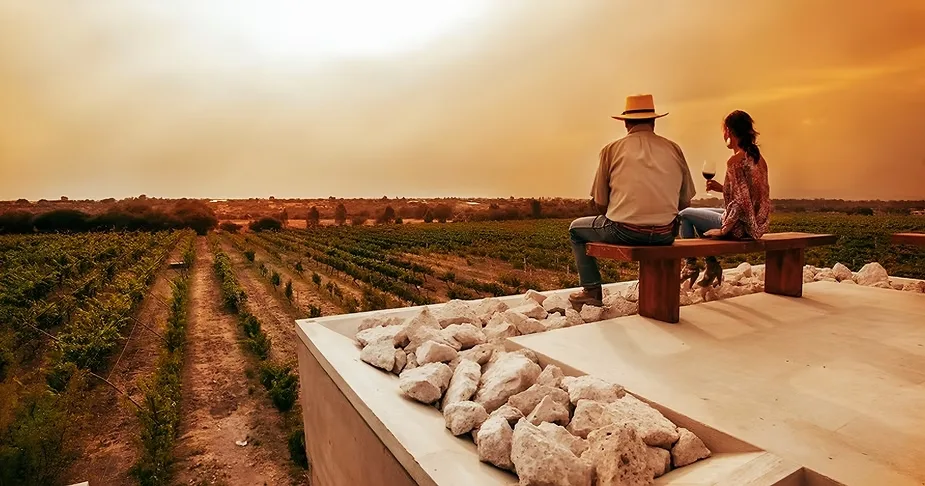 Catar vinos en la Ruta del Bajío