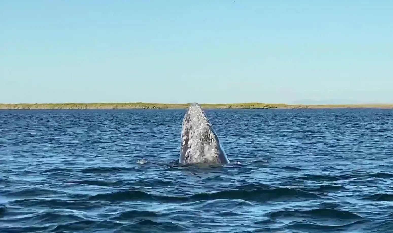 Embarcación en agua para tours marítimos