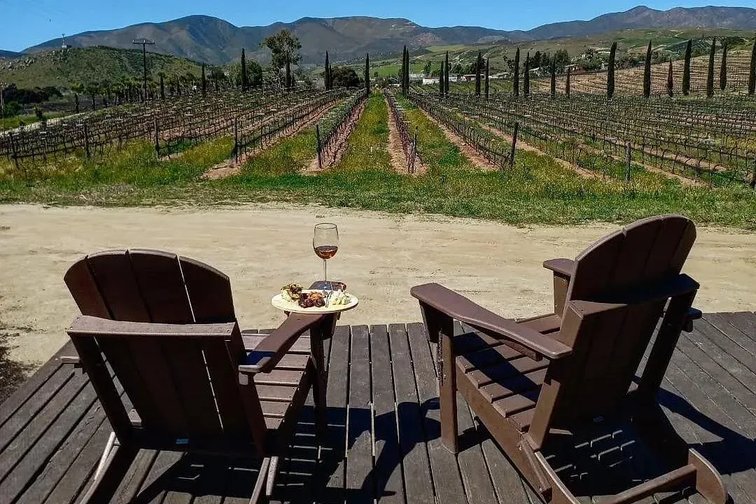Vinedo al atardecer en el Valle de Guadalupe con cabanas