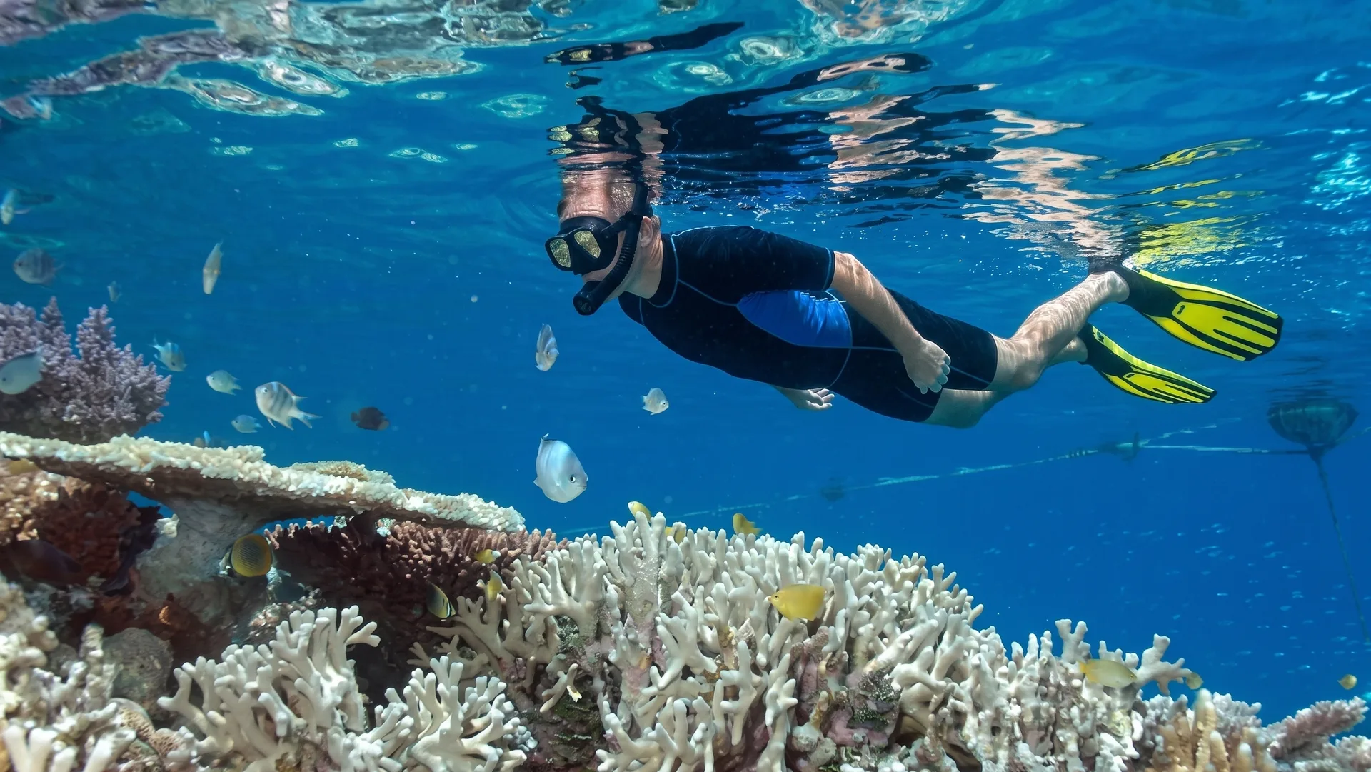Hacer snorkel en Playa La Entrega