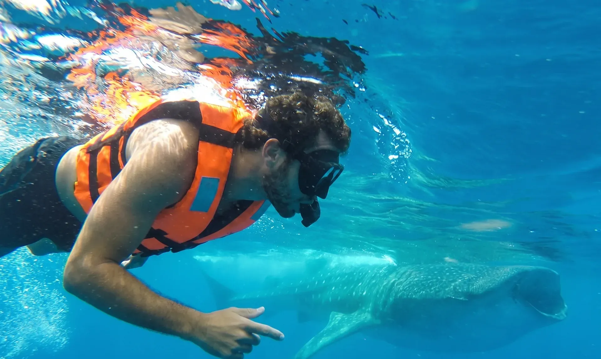 Persona nadando en agua clara de Isla Mujeres
