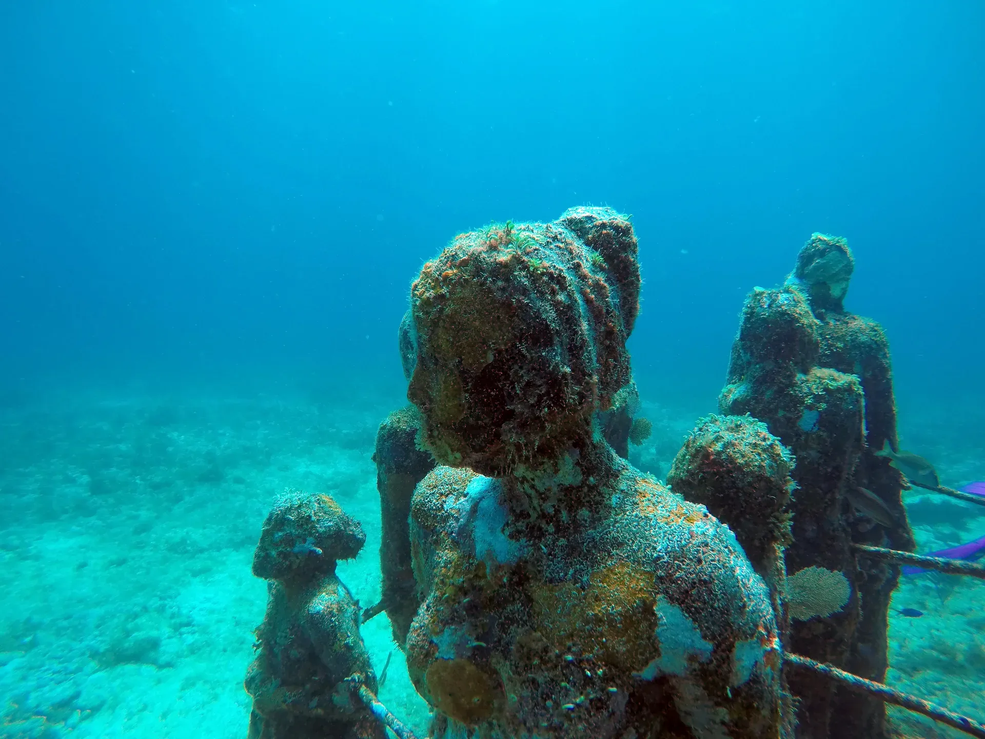 Esculturas submarinas del museo MUSA cubiertas de coral