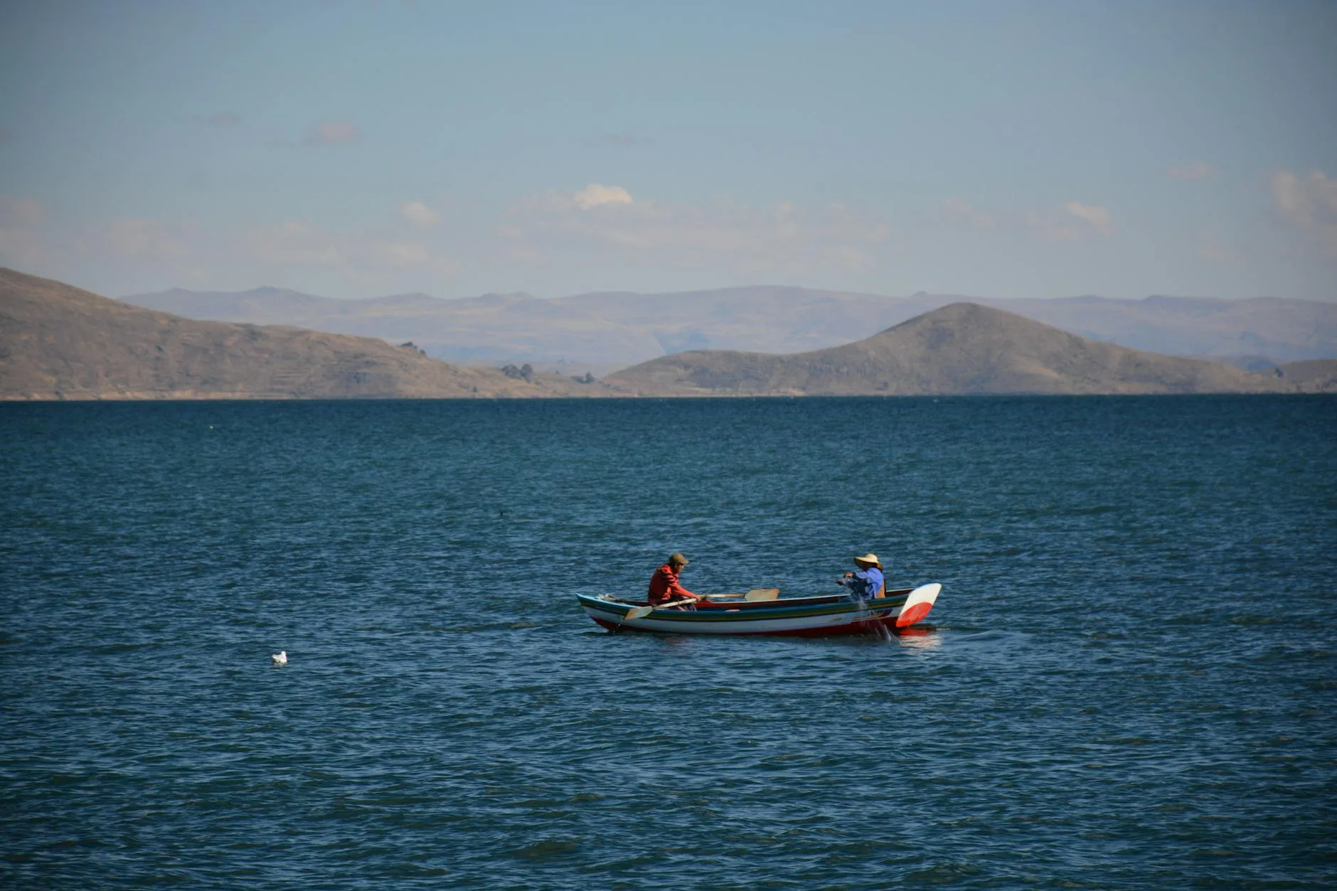 Avistamiento de ballenas grises en Bahía Almejas