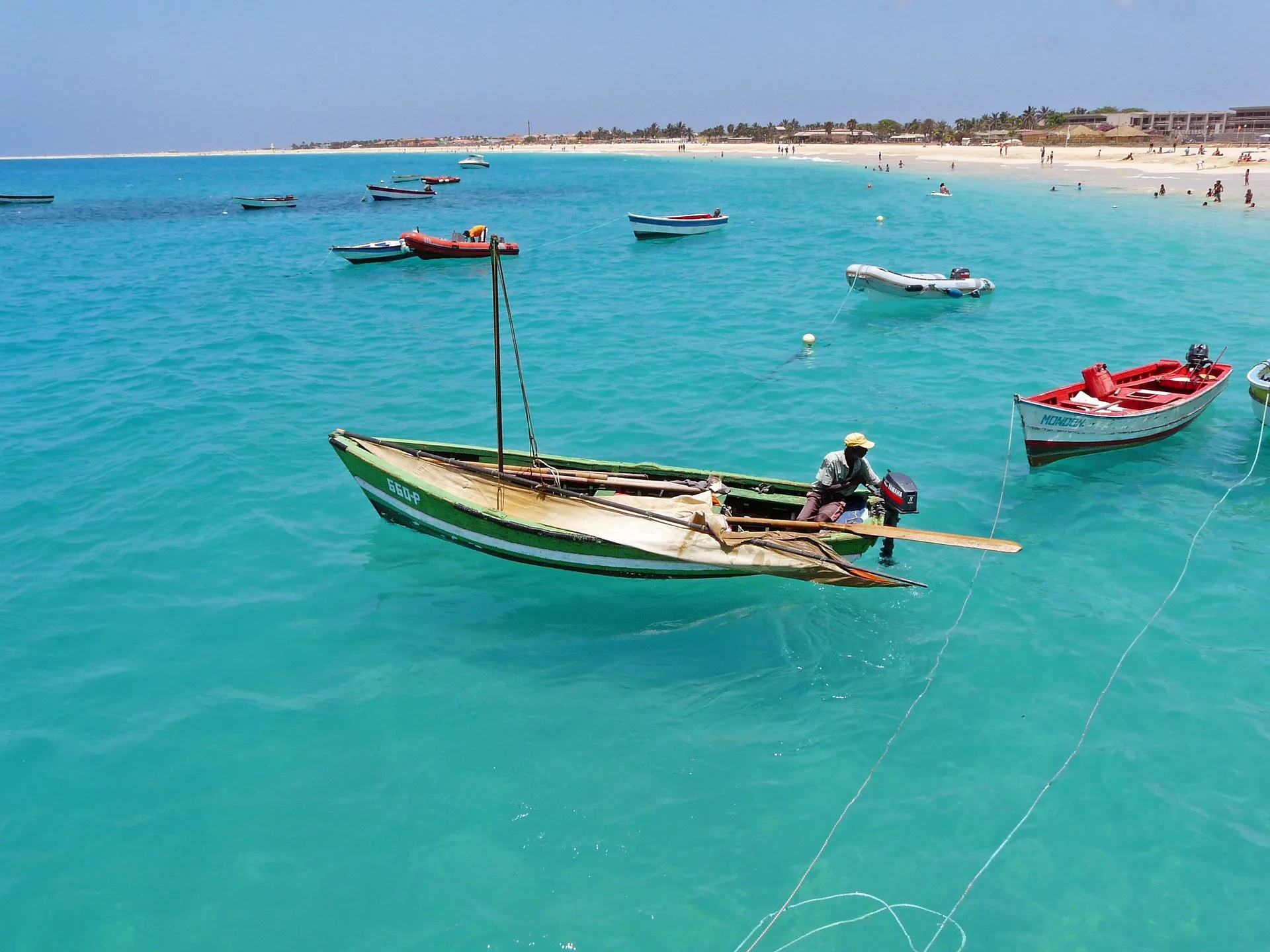 Foto de Pesca deportiva de marlín (capital mundial)