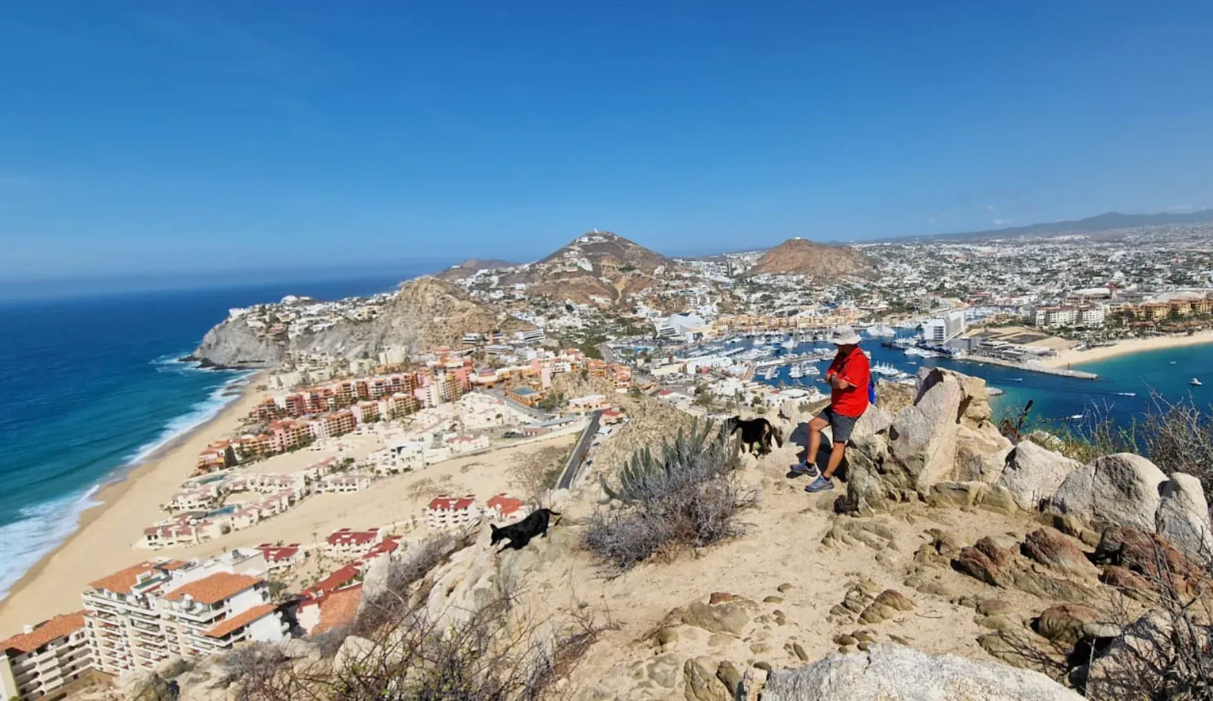 Senderismo al Cerro del Vigía con perros rescatados