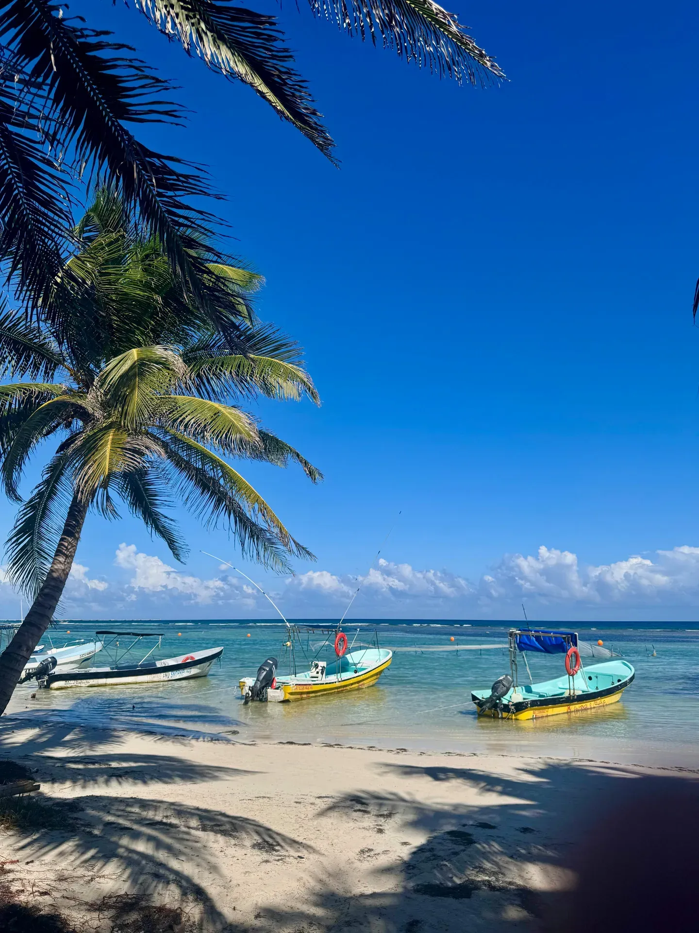 Playa de Mahahual con agua turquesa y cocoteros