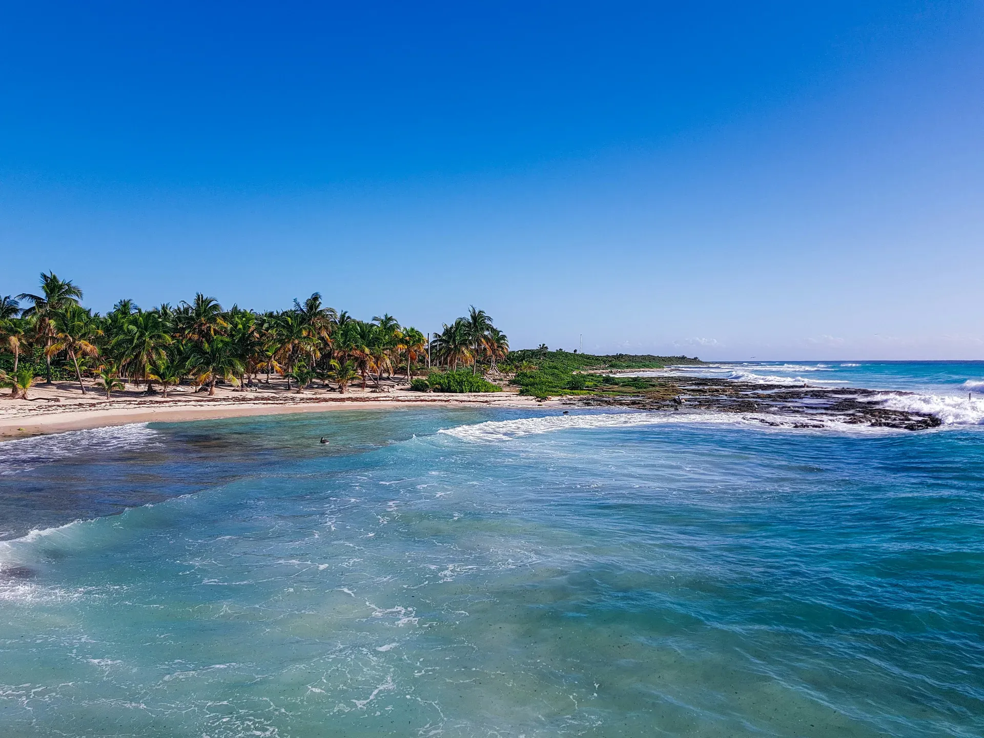 Vista aerea de playa caribena con palmeras y agua turquesa en Mahahual