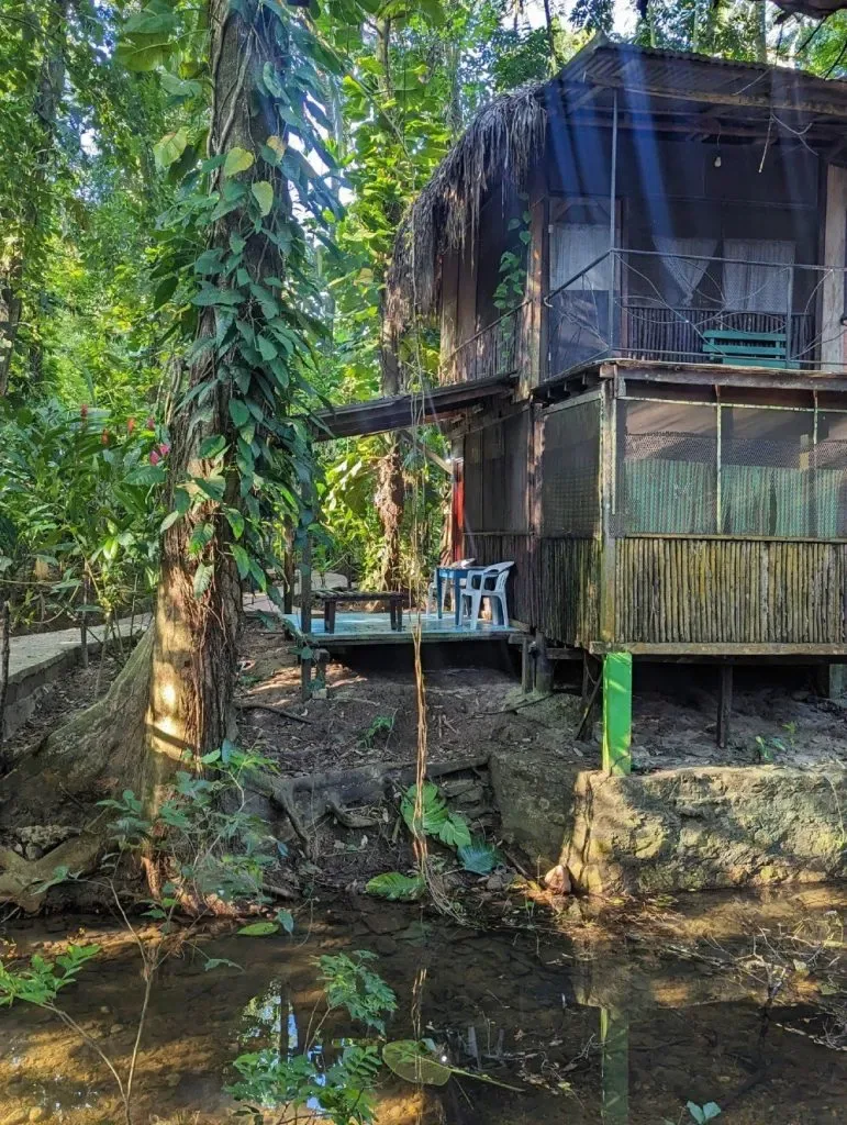 Senderismo en la selva de El Panchán