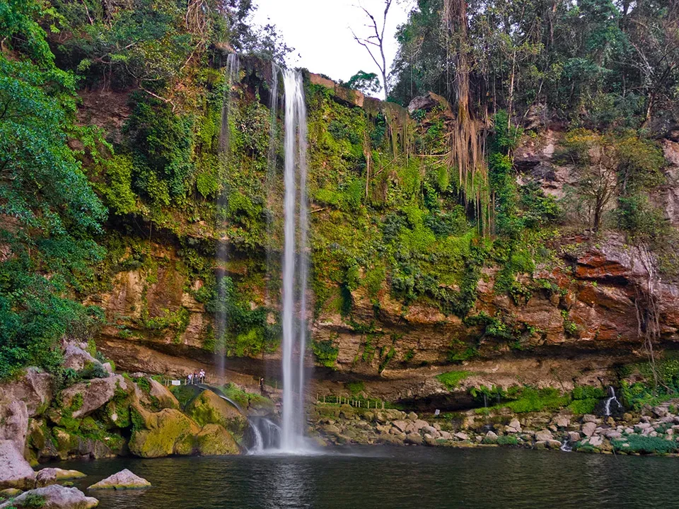 Cascada Misol-Há con caída vertical de 35 metros envuelta en vegetación selvática