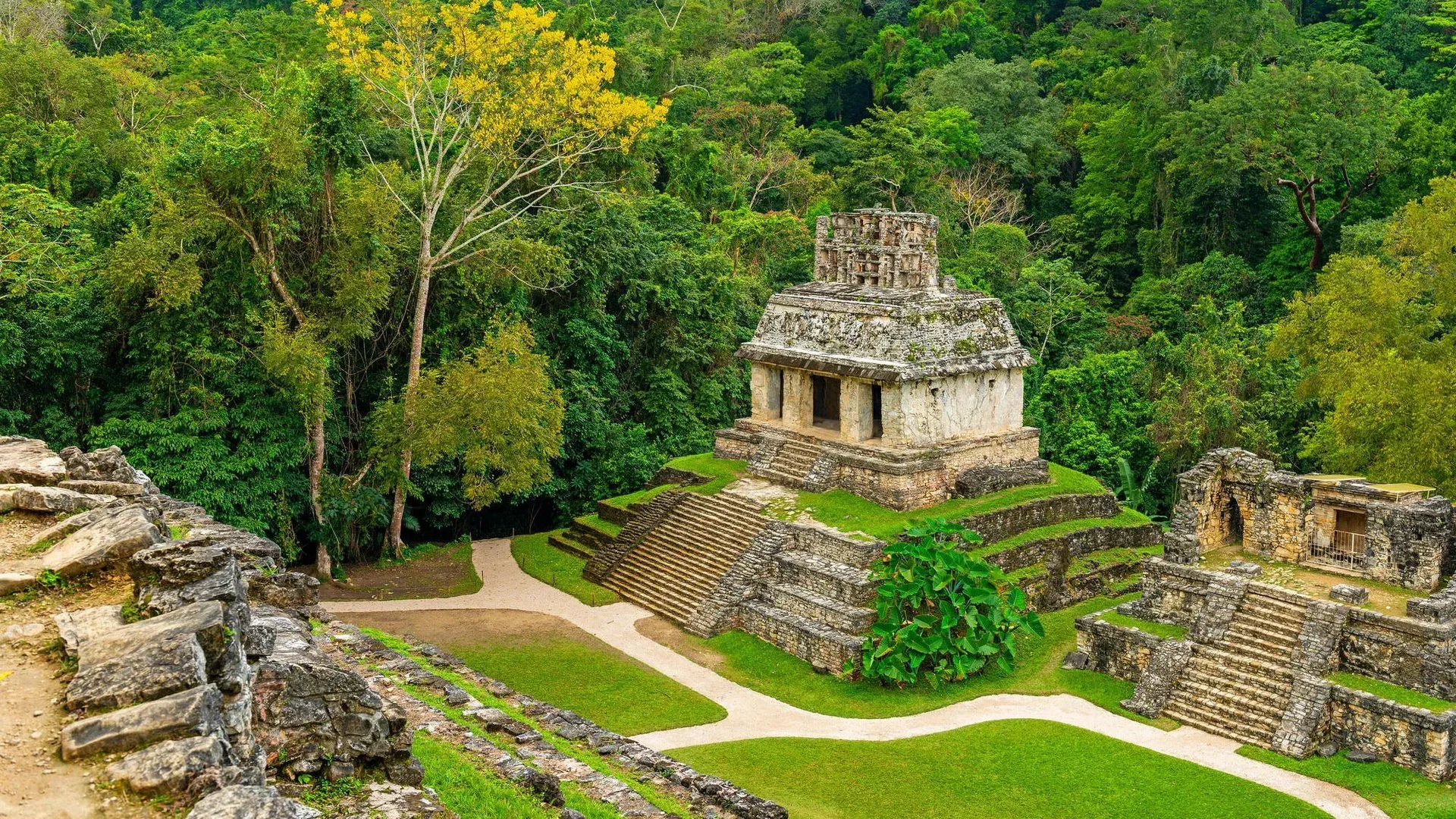 Templo del Sol de Palenque visto desde las alturas entre senderos y selva tropical