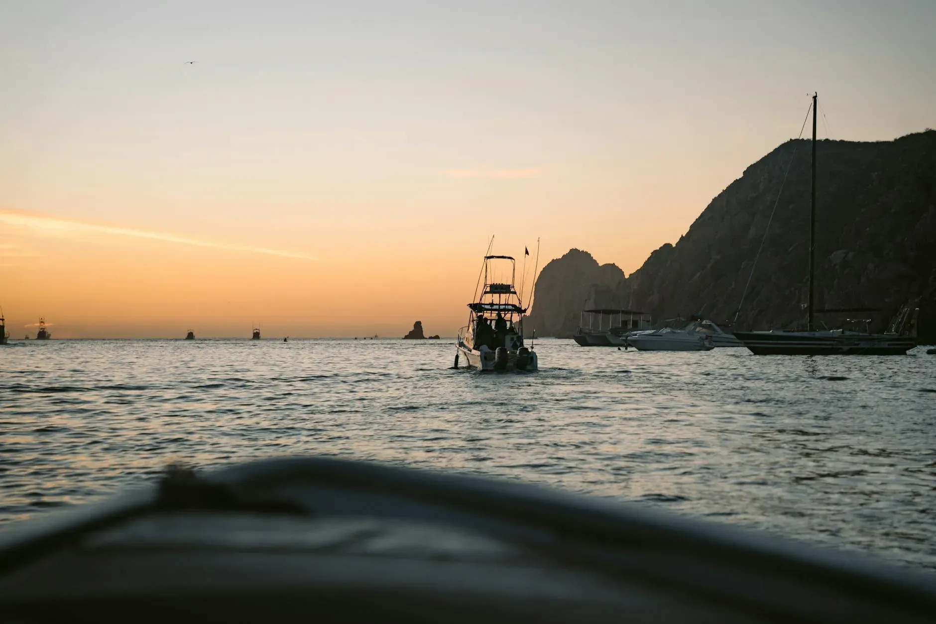 Pesca deportiva