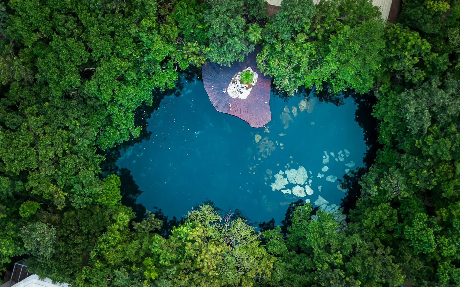 Festival de Cenotes