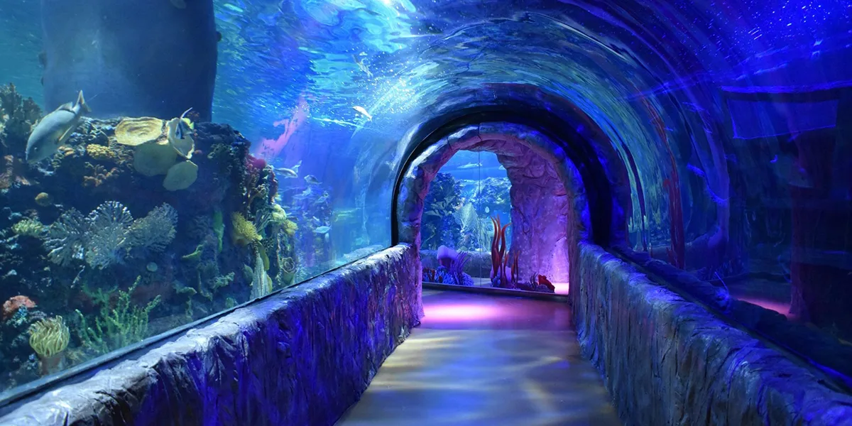 Foto de Acuario Inbursa