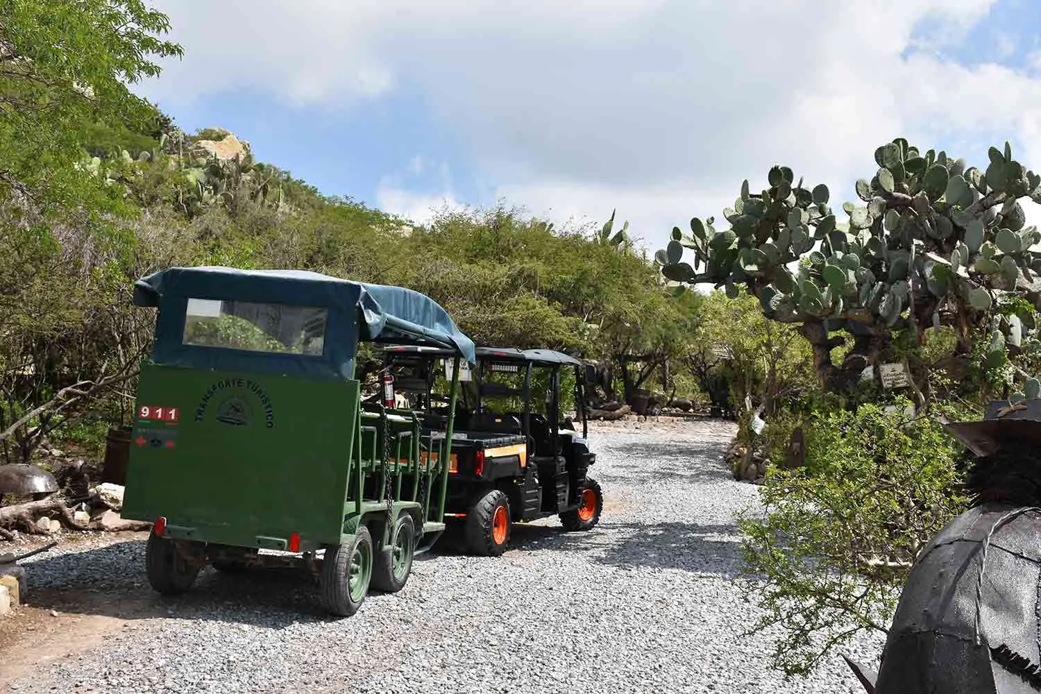 Foto de Safari ecológico por el semidesierto