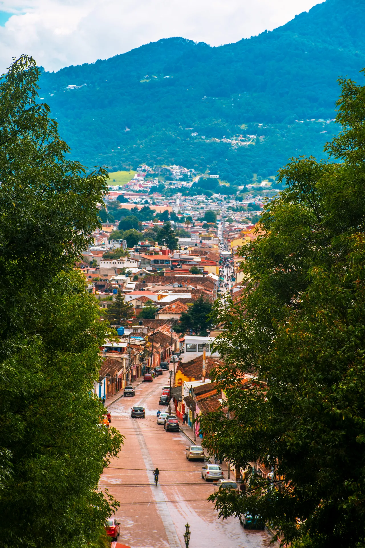 Tradición Viva