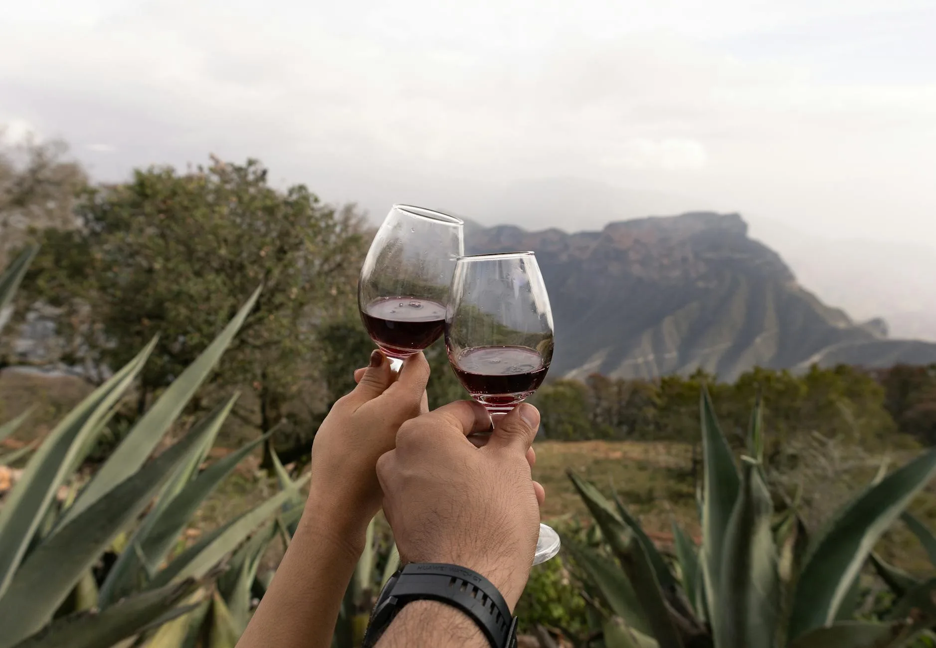 Ruta del Arte, Queso y Vino