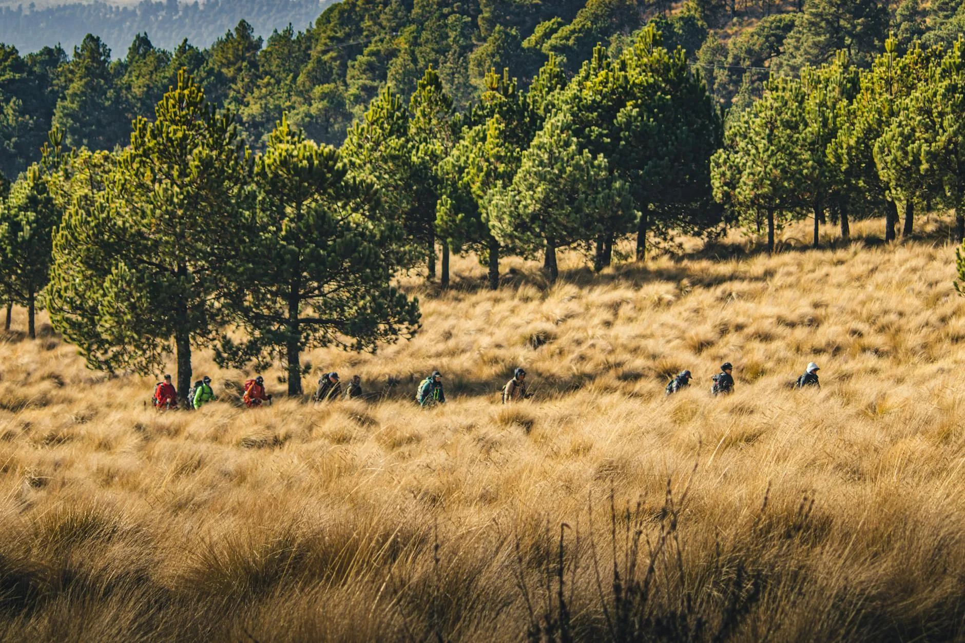 Senderismo y ecoturismo
