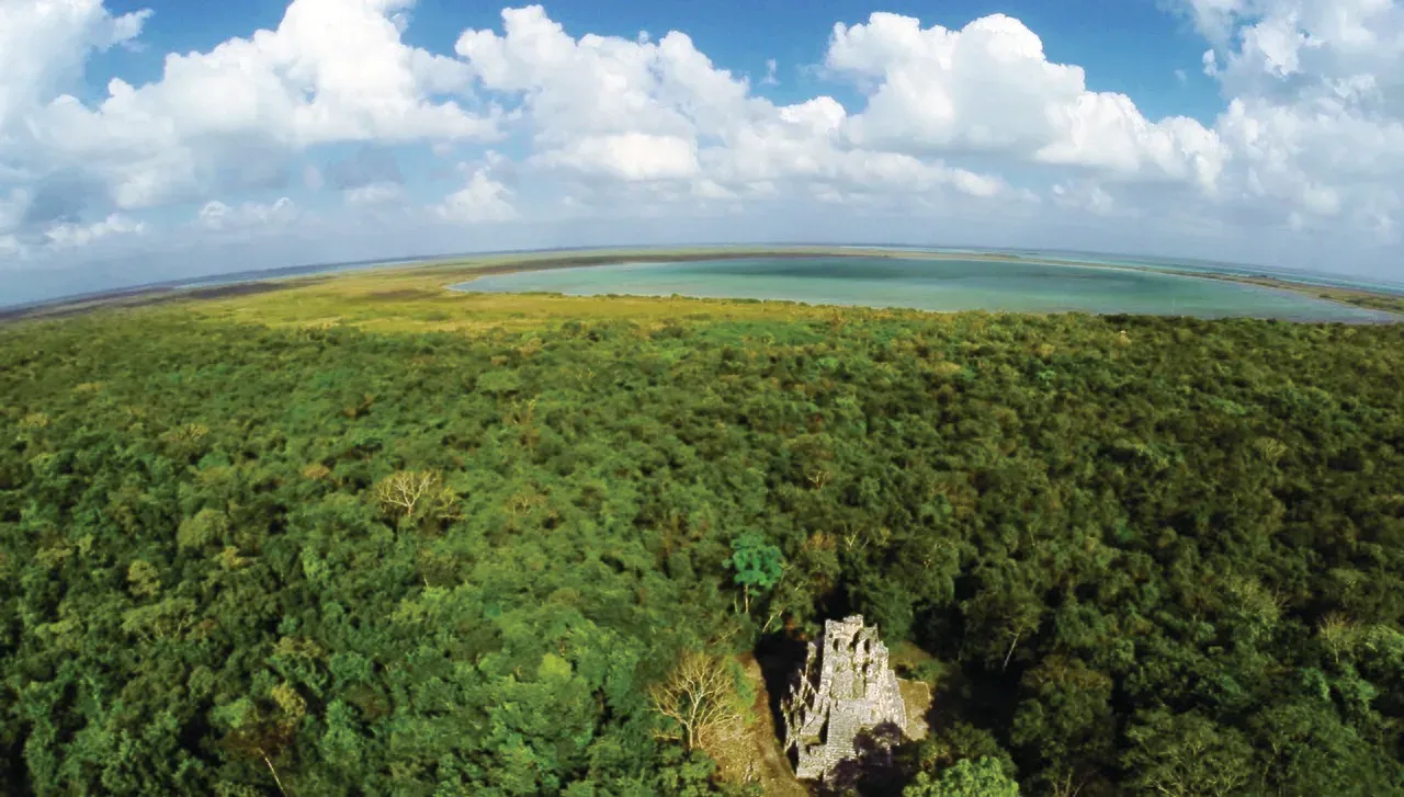 Playa y Cenotes de la Ruta 307