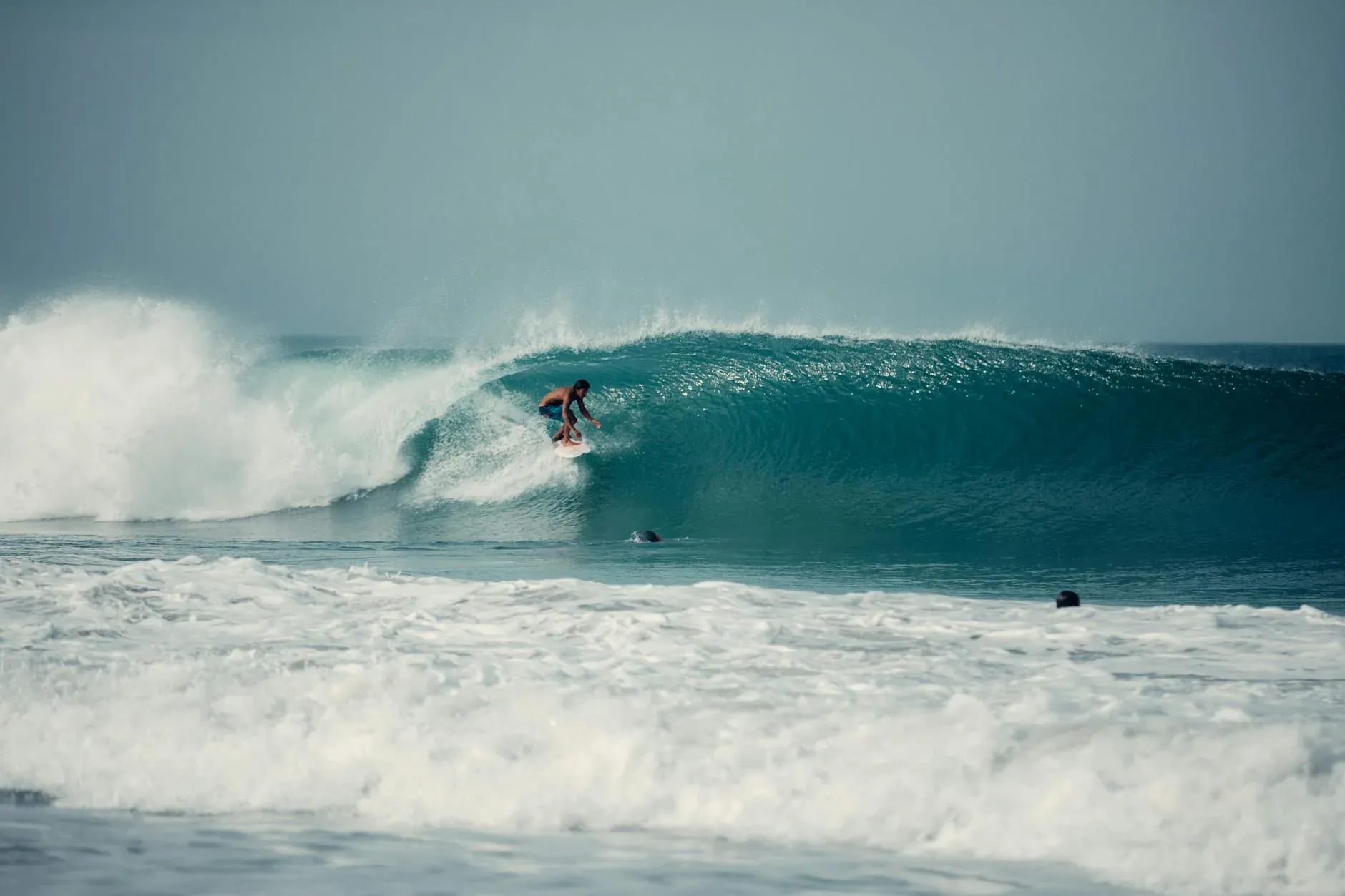 Surf