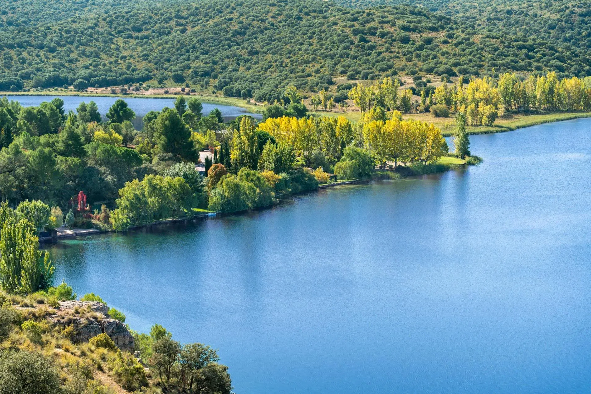 Laguna de agua azul rodeada de vegetación y árboles verdes