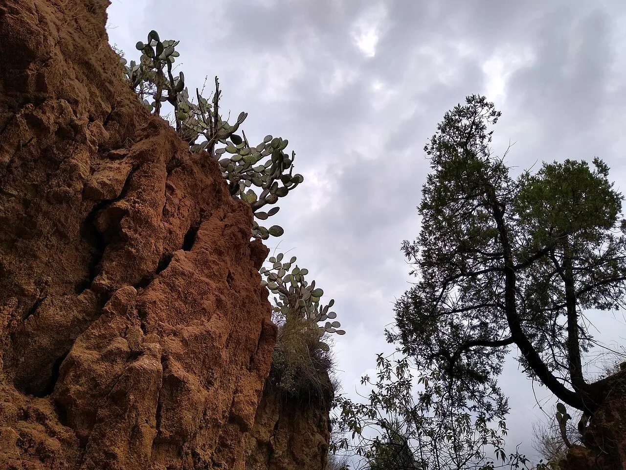 Explorar los Laberintos de Tlaxco