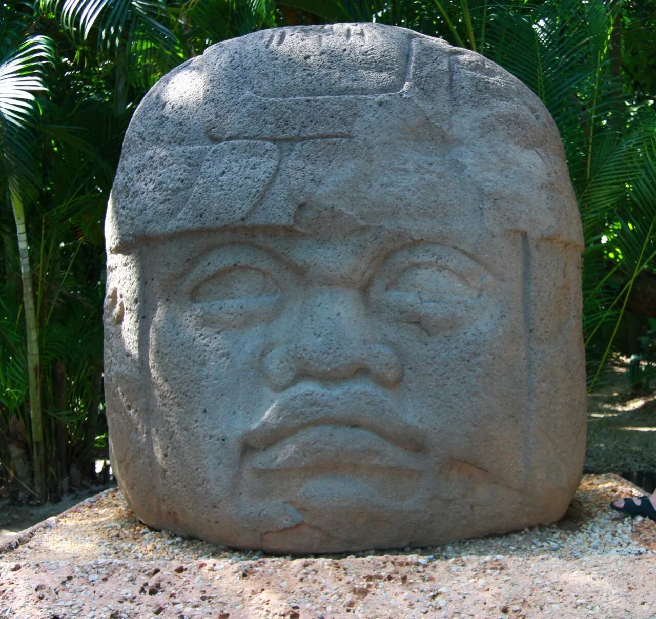Cabeza Olmeca Monumento 1, primer plano del rostro con palmeras
