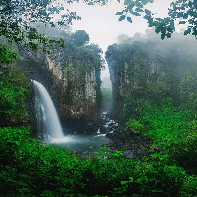 Cascada de Texolo de 80 metros cayendo en barranca de selva de niebla