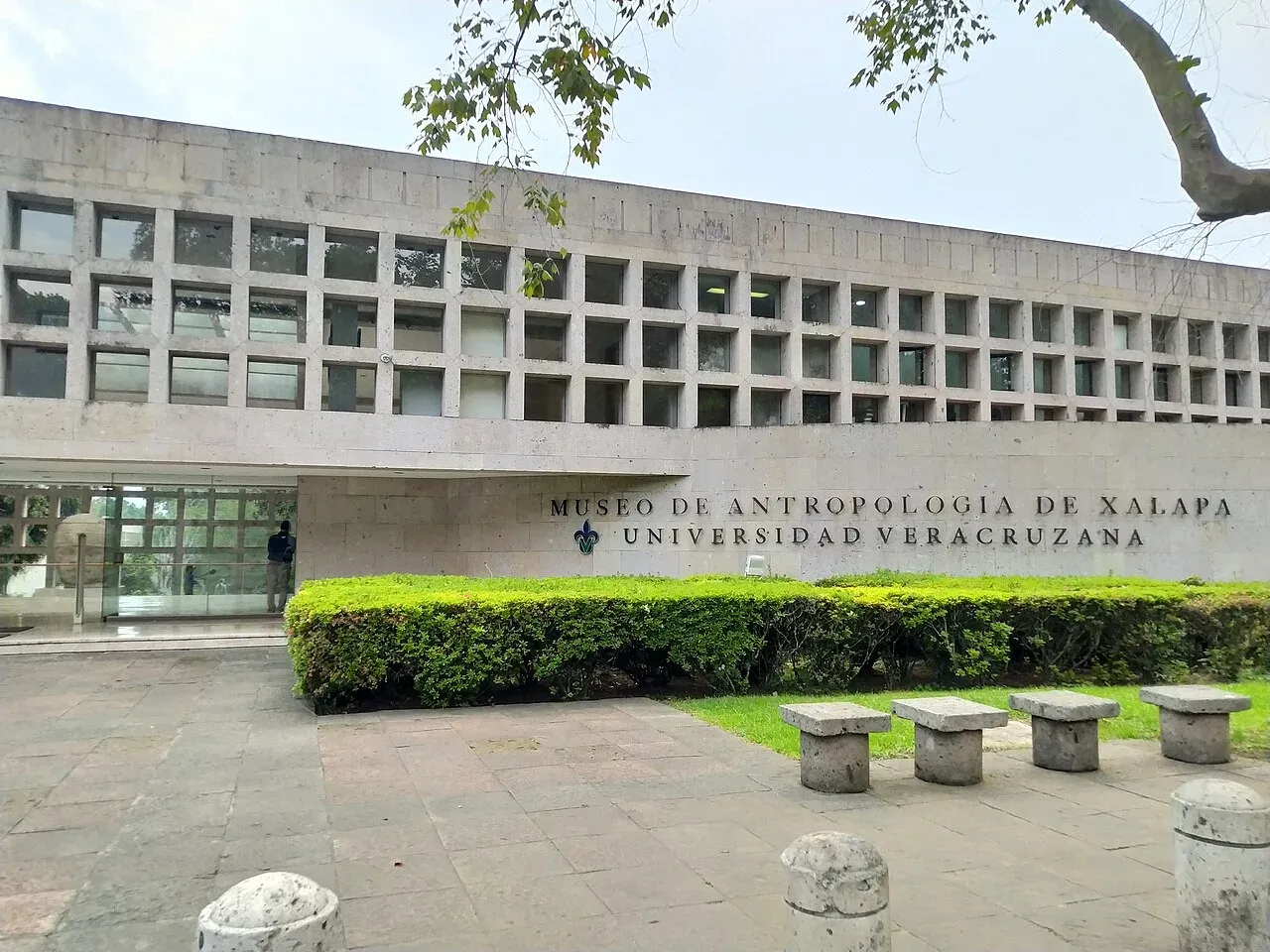 Cabeza olmeca colosal en el Museo de Antropología de Xalapa