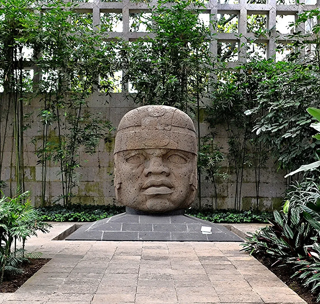 Plantación de café histórica en el estado de Veracruz
