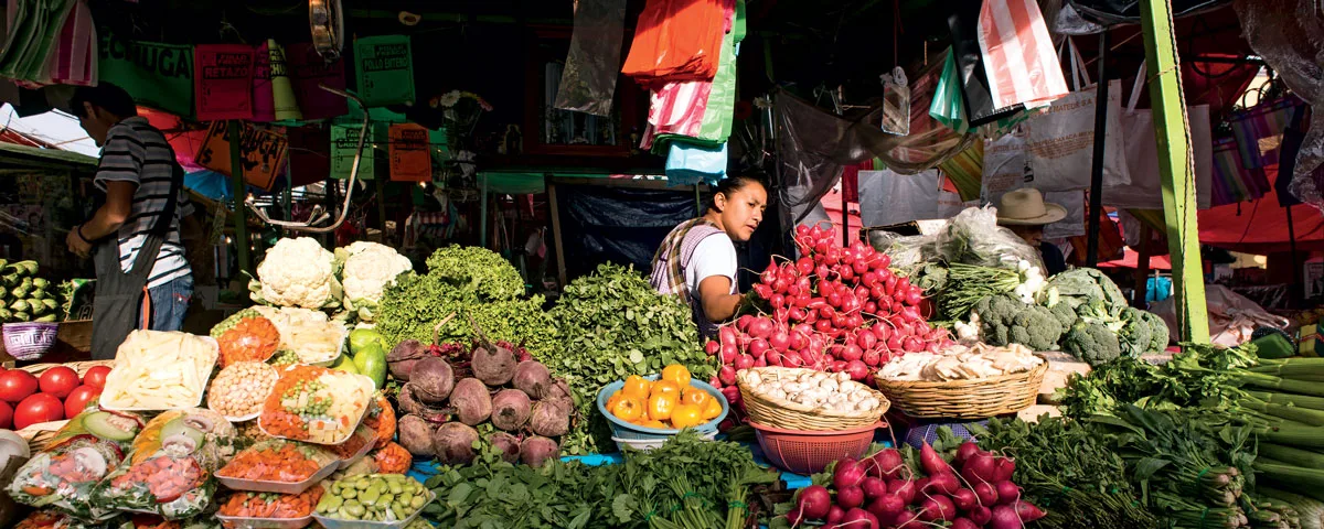 Centro Histórico y Mercado de Xochimilco